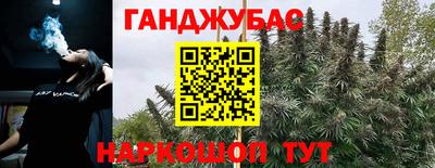 прущие грибы Шелехов